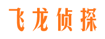 鹿城侦探